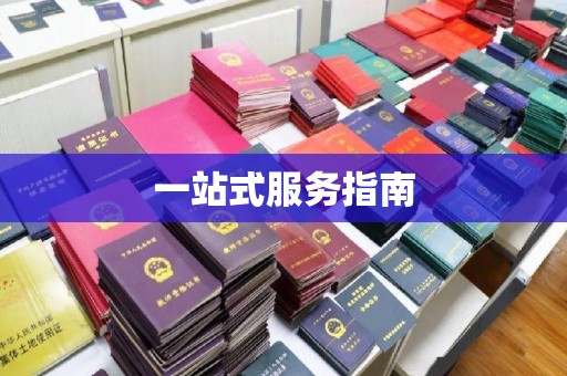 通江一站式服务指南